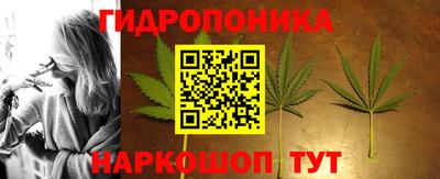 прущие грибы Краснодар
