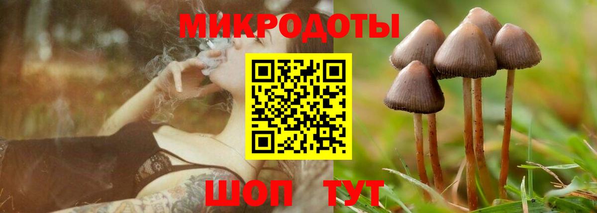 Кимовск  Галлюциногенные грибы мицелий  Вход с VPN 